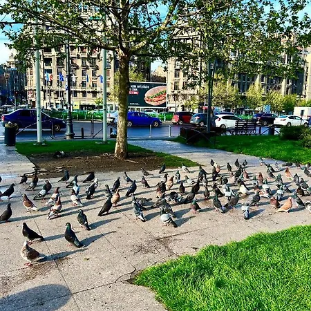 Palace Of The Parliament View,old City,waterfall Bukurešť