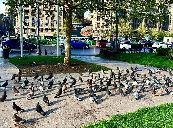 Palace Of The Parliament View,old City,waterfall Bucharest